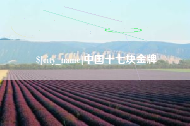 义乌中国十七块金牌