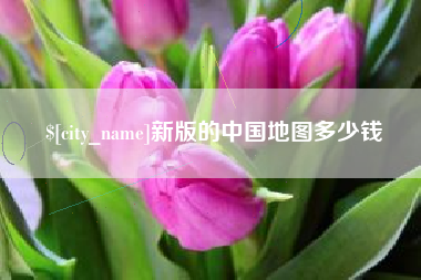 义乌新版的中国地图多少钱