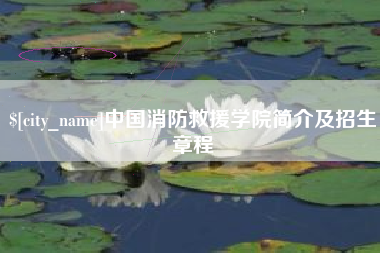 义乌中国消防救援学院简介及招生章程