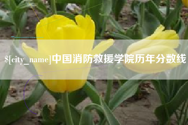 义乌中国消防救援学院历年分数线