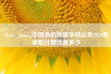 义乌中国消防救援学院山东2020年录取分数线是多少