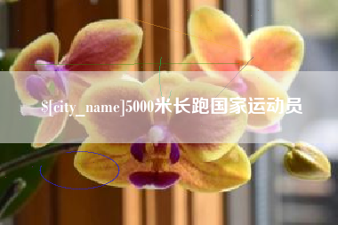 义乌5000米长跑国家运动员