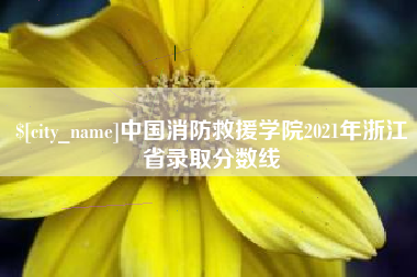义乌中国消防救援学院2021年浙江省录取分数线