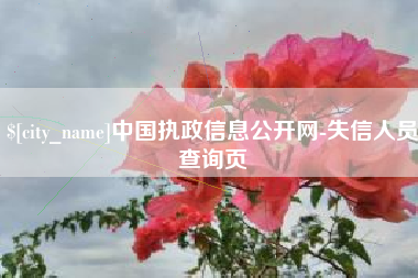 义乌中国执政信息公开网-失信人员查询页