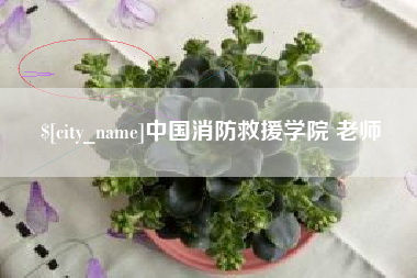 义乌中国消防救援学院 老师