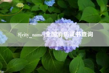 义乌全国消防证书查询