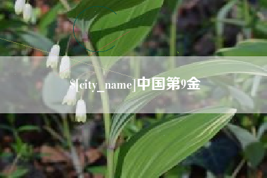 义乌中国第9金