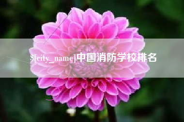 义乌中国消防学校排名