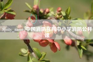 义乌中国消防官网中小学消防公开课
