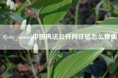 义乌中国执法公开网征信怎么查询