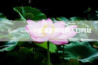 义乌中国消防网官网入口网址