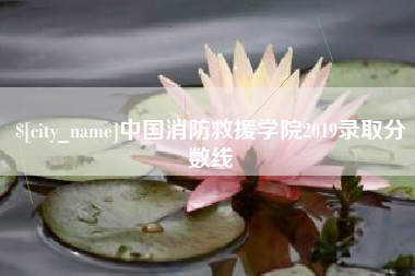 义乌中国消防救援学院2019录取分数线