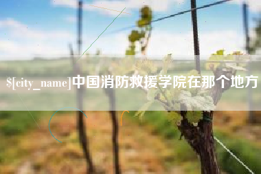 义乌中国消防救援学院在那个地方