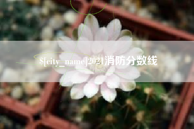 义乌2021消防分数线