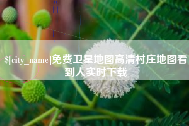 义乌免费卫星地图高清村庄地图看到人实时下载
