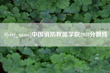 义乌中国消防救援学院2018分数线