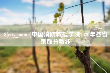 义乌中国消防救援学院2020年各省录取分数线