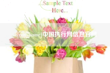 义乌中国执行网信息官网