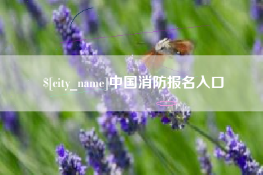 义乌中国消防报名入口