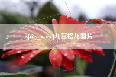 义乌九宫格龙图片