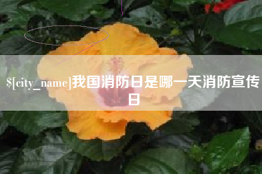 义乌我国消防日是哪一天消防宣传日