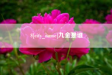 义乌九金是谁
