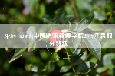 义乌中国消防救援学院2019年录取分数线