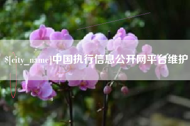 义乌中国执行信息公开网平台维护