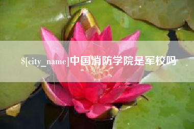 义乌中国消防学院是军校吗