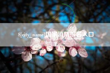 义乌国家消防报名入口