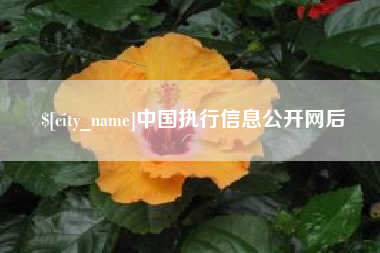 义乌中国执行信息公开网后