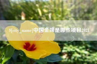 义乌中国金牌是哪些项目2021