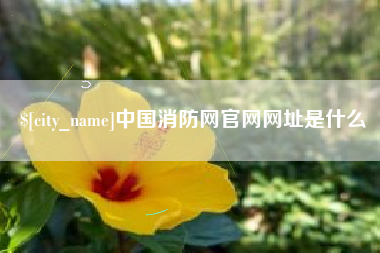 义乌中国消防网官网网址是什么