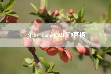 义乌2021年9宫格