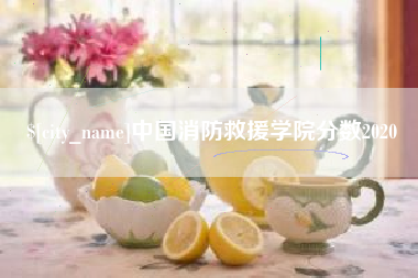 义乌中国消防救援学院分数2020