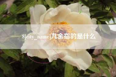 义乌九金指的是什么