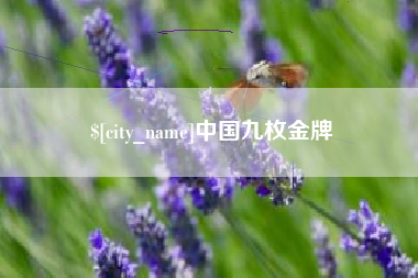 义乌中国九枚金牌