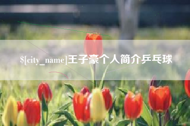 义乌王子豪个人简介乒乓球