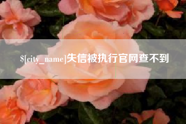 义乌失信被执行官网查不到