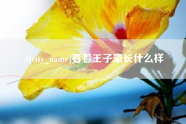 义乌看看王子豪长什么样