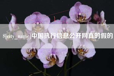 义乌中国执行信息公开网真的假的