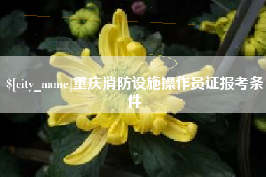 义乌重庆消防设施操作员证报考条件