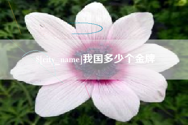 义乌我国多少个金牌