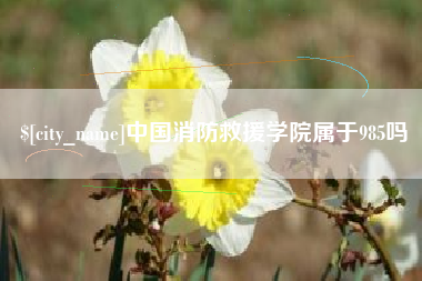 义乌中国消防救援学院属于985吗