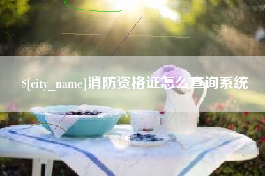 义乌消防资格证怎么查询系统