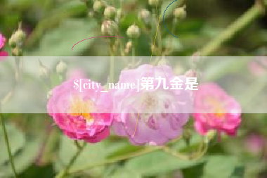 义乌第九金是