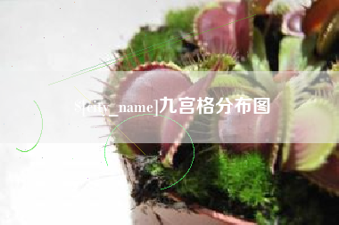 义乌九宫格分布图