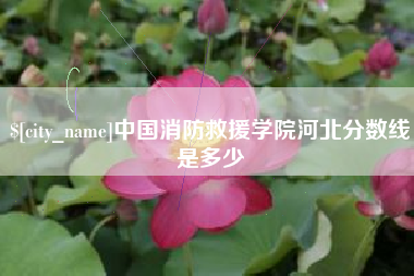 义乌中国消防救援学院河北分数线是多少