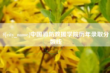 义乌中国消防救援学院历年录取分数线