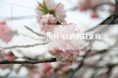 义乌11月9日消防日全称